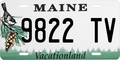 ME license plate 9822TV