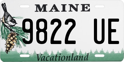 ME license plate 9822UE