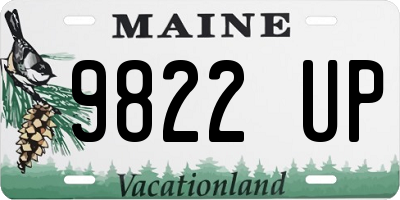 ME license plate 9822UP