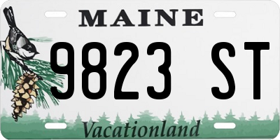 ME license plate 9823ST