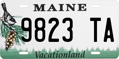 ME license plate 9823TA