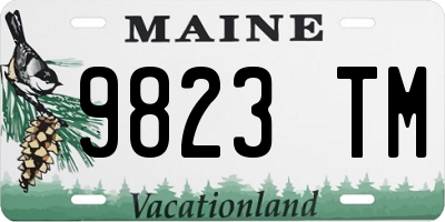 ME license plate 9823TM