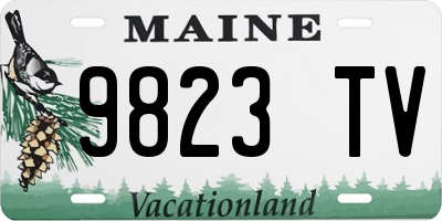 ME license plate 9823TV