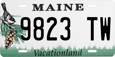 ME license plate 9823TW