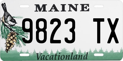 ME license plate 9823TX