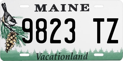 ME license plate 9823TZ