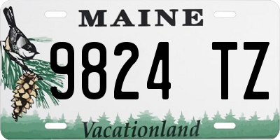 ME license plate 9824TZ