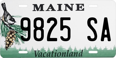 ME license plate 9825SA