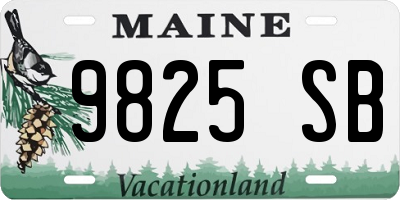 ME license plate 9825SB