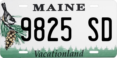 ME license plate 9825SD