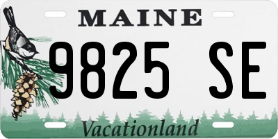 ME license plate 9825SE