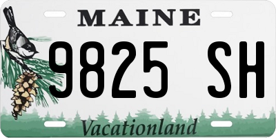 ME license plate 9825SH