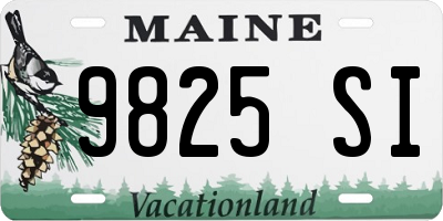 ME license plate 9825SI