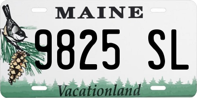 ME license plate 9825SL