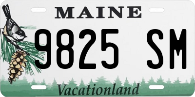 ME license plate 9825SM