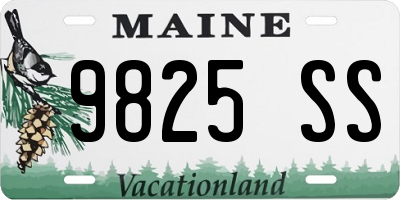 ME license plate 9825SS