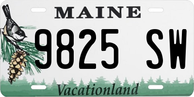 ME license plate 9825SW