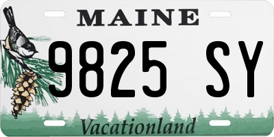ME license plate 9825SY