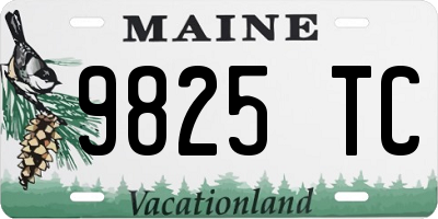 ME license plate 9825TC