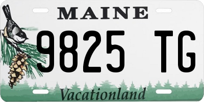 ME license plate 9825TG