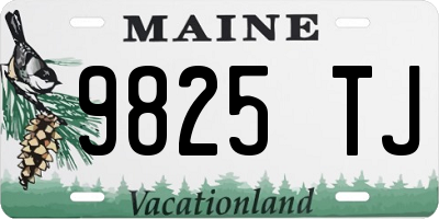 ME license plate 9825TJ