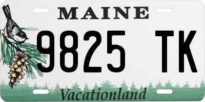 ME license plate 9825TK