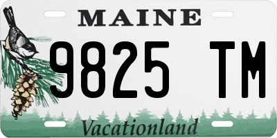 ME license plate 9825TM
