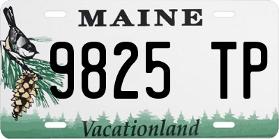 ME license plate 9825TP