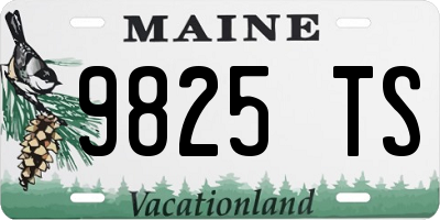 ME license plate 9825TS