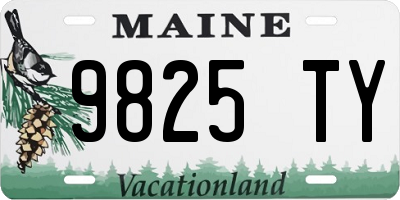ME license plate 9825TY
