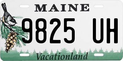 ME license plate 9825UH