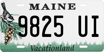 ME license plate 9825UI