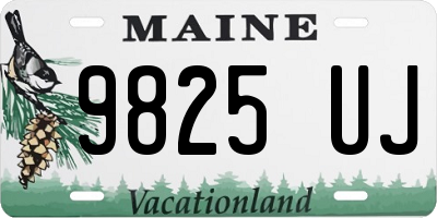 ME license plate 9825UJ