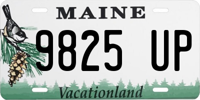 ME license plate 9825UP