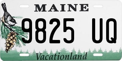 ME license plate 9825UQ