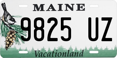 ME license plate 9825UZ