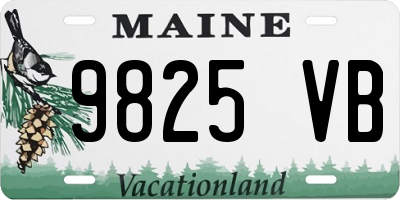 ME license plate 9825VB