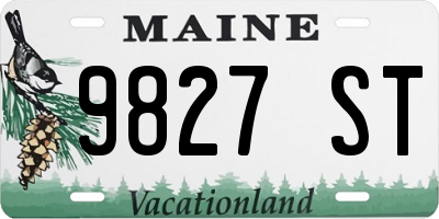 ME license plate 9827ST