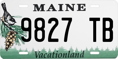 ME license plate 9827TB