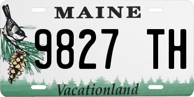 ME license plate 9827TH
