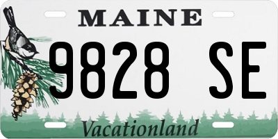 ME license plate 9828SE