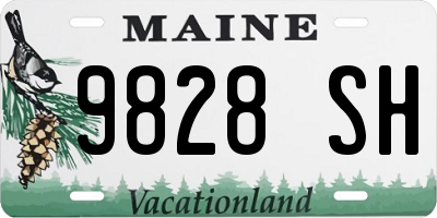 ME license plate 9828SH