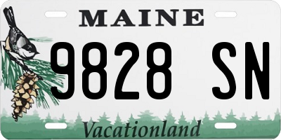 ME license plate 9828SN