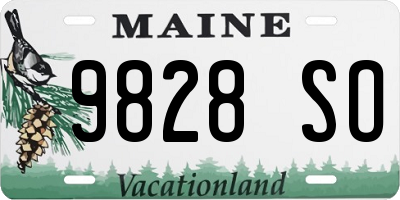 ME license plate 9828SO