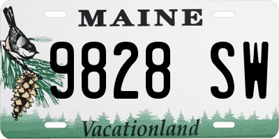ME license plate 9828SW