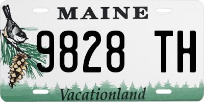 ME license plate 9828TH