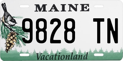 ME license plate 9828TN