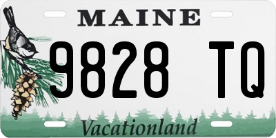 ME license plate 9828TQ