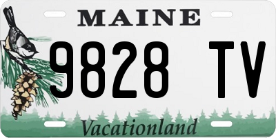 ME license plate 9828TV