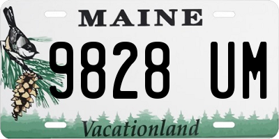 ME license plate 9828UM